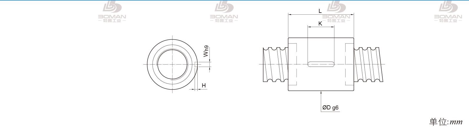 PMI RSIC10016-4 PMI TBI研磨级滚珠丝杆